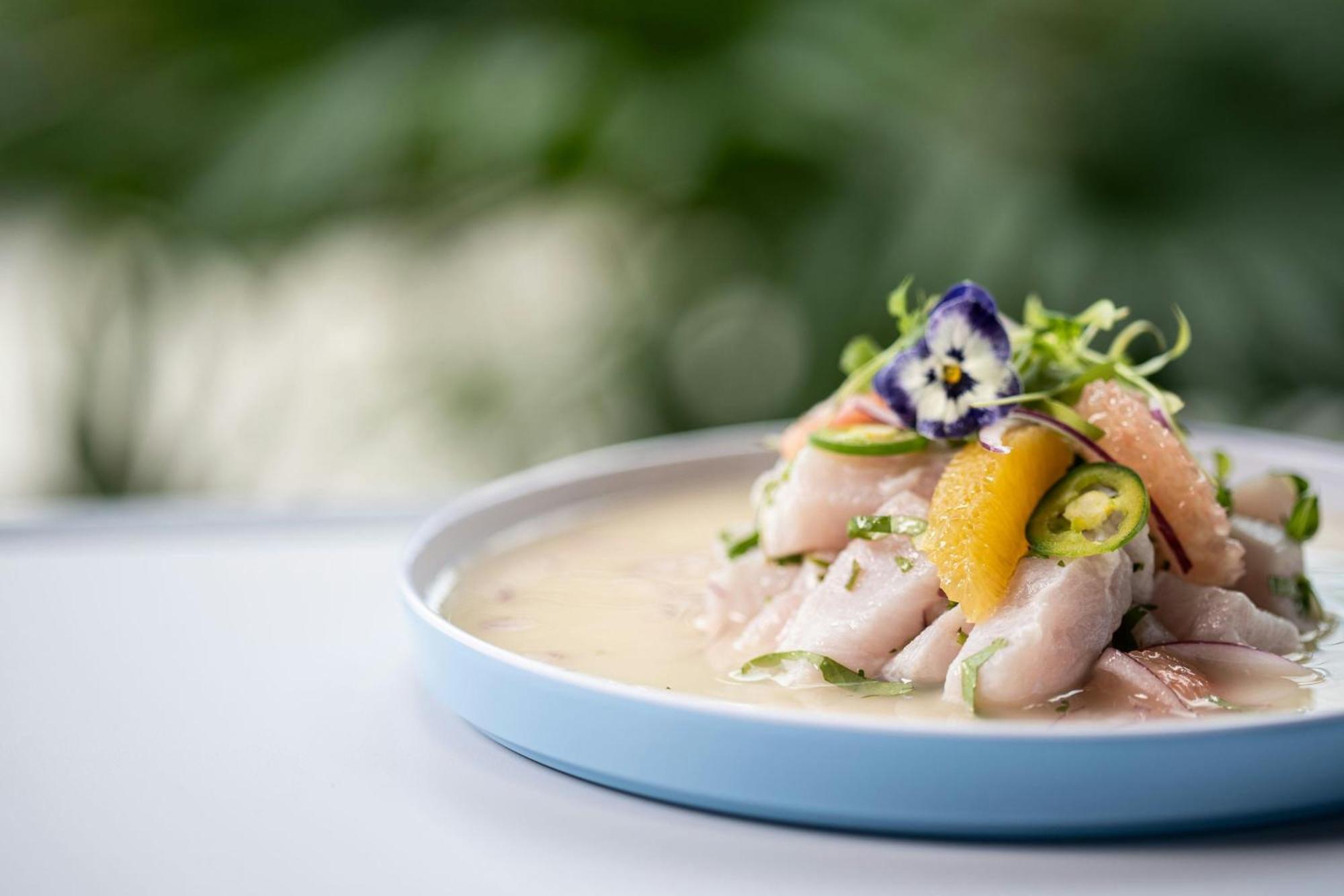 The Belgrove Resort & Spa, West Palm Beach, Autograph Collection 外观 照片